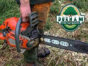 tree trimming services